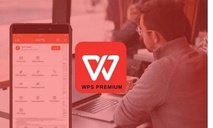  WPS Office的图形化数据展示工具  